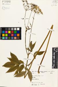 SW_BNB_s3080-00347_IMG-0000000001
