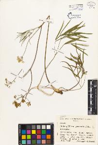 SW_BNB_s3080-00349_IMG-0000000001