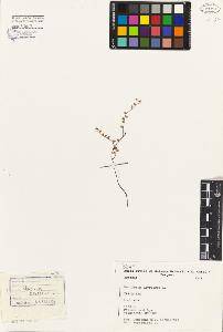 SW_BNB_s3080-00350_IMG-0000000001