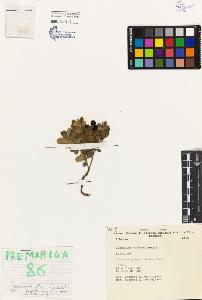 SW_BNB_s3080-00351_IMG-0000000001