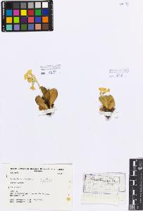 SW_BNB_s3080-00352_IMG-0000000001