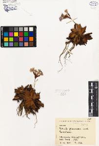 SW_BNB_s3080-00353_IMG-0000000001