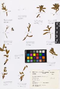 SW_BNB_s3080-00359_IMG-0000000001