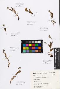 SW_BNB_s3080-00373_IMG-0000000001