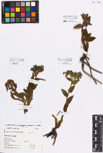 SW_BNB_s3080-00381_IMG-0000000001