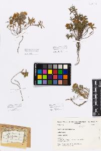 SW_BNB_s3080-00400_IMG-0000000001