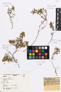 SW_BNB_s3080-00405_IMG-0000000001
