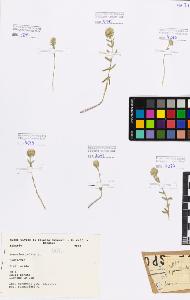 SW_BNB_s3080-00409_IMG-0000000001
