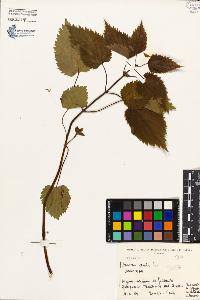 SW_BNB_s3080-00416_IMG-0000000001