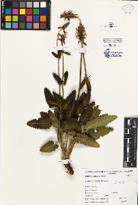 SW_BNB_s3080-00420_IMG-0000000001