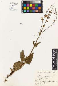 SW_BNB_s3080-00423_IMG-0000000001