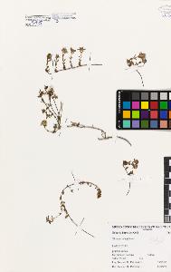 SW_BNB_s3080-00434_IMG-0000000001