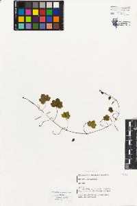 SW_BNB_s3080-00436_IMG-0000000001