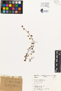 SW_BNB_s3080-00446_IMG-0000000001
