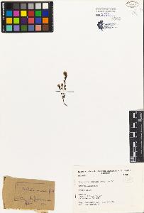 SW_BNB_s3080-00461_IMG-0000000001