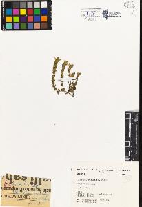 SW_BNB_s3080-00469_IMG-0000000001