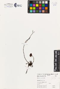 SW_BNB_s3080-00470_IMG-0000000001