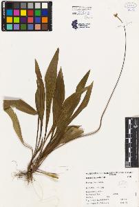 SW_BNB_s3080-00471_IMG-0000000001