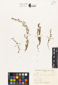 SW_BNB_s3080-00482_IMG-0000000001