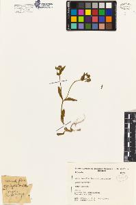 SW_BNB_s3080-00487_IMG-0000000001