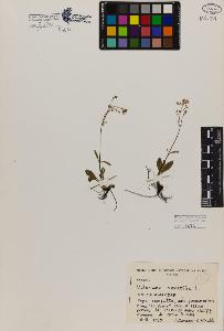 SW_BNB_s3080-00489_IMG-0000000001