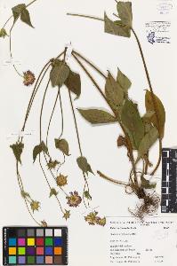 SW_BNB_s3080-00490_IMG-0000000001