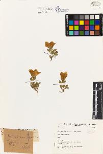 SW_BNB_s3080-00495_IMG-0000000001