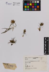SW_BNB_s3080-00497_IMG-0000000001