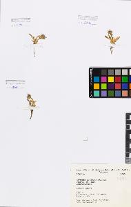 SW_BNB_s3080-00498_IMG-0000000001