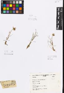 SW_BNB_s3080-00500_IMG-0000000001