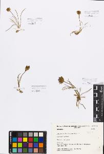 SW_BNB_s3080-00502_IMG-0000000001