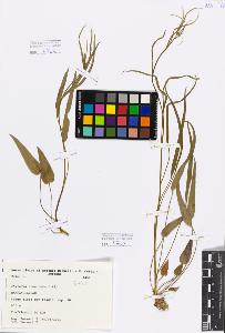 SW_BNB_s3080-00520_IMG-0000000001