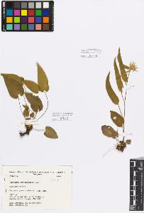 SW_BNB_s3080-00521_IMG-0000000001