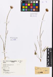 SW_BNB_s3080-00527_IMG-0000000001