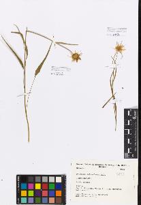 SW_BNB_s3080-00530_IMG-0000000001