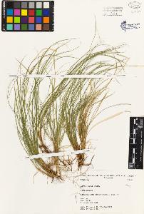 SW_BNB_s3080-00533_IMG-0000000001