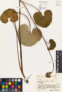 SW_BNB_s3080-00537_IMG-0000000001