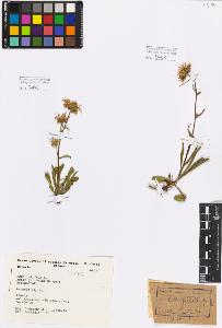 SW_BNB_s3080-00553_IMG-0000000001