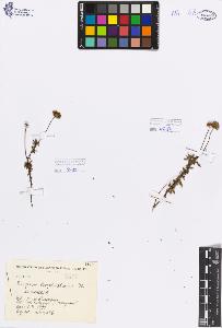 SW_BNB_s3080-00561_IMG-0000000001