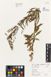 SW_BNB_s3080-00562_IMG-0000000001