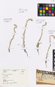 SW_BNB_s3080-00564_IMG-0000000001