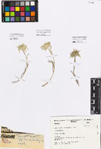 SW_BNB_s3080-00573_IMG-0000000001