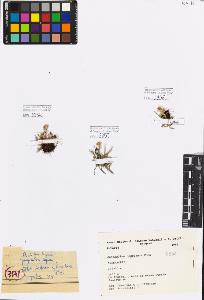 SW_BNB_s3080-00576_IMG-0000000001