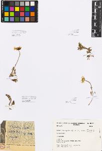 SW_BNB_s3080-00596_IMG-0000000001