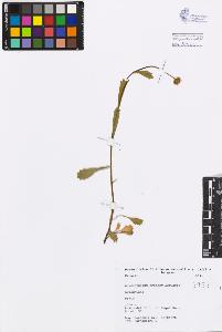 SW_BNB_s3080-00601_IMG-0000000001