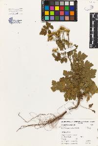 SW_BNB_s3080-00602_IMG-0000000001