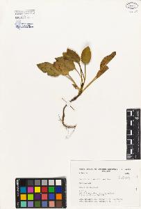 SW_BNB_s3080-00616_IMG-0000000001