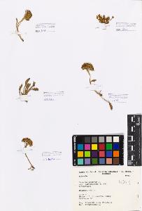 SW_BNB_s3080-00624_IMG-0000000001