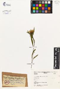 SW_BNB_s3080-00639_IMG-0000000001