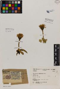 SW_BNB_s3080-00641_IMG-0000000001